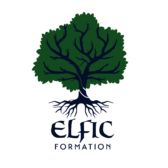 Logo de ELFIC Formation, adhérent du réseau Soltena